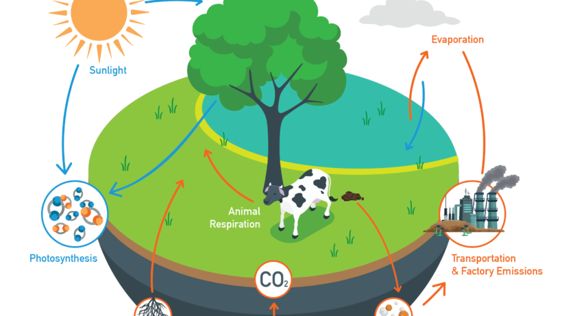 Solar Energy & Carbon Credits